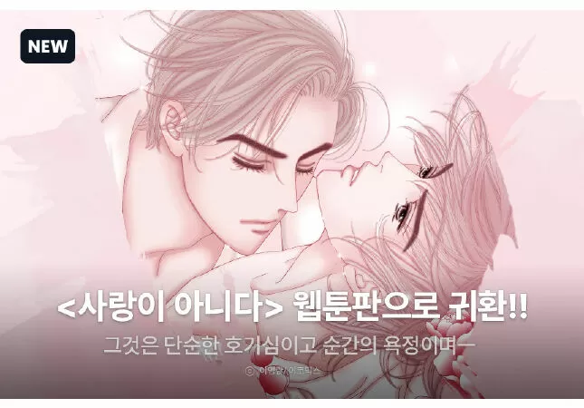 It's Not Love / Đó không phải là tình yêu