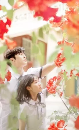 Vô Tình Tìm Thấy Haru - Extraordinary You (2019)