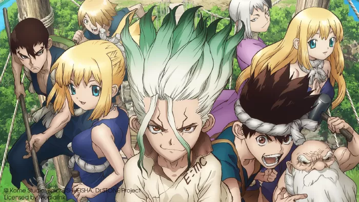Dr. Stone