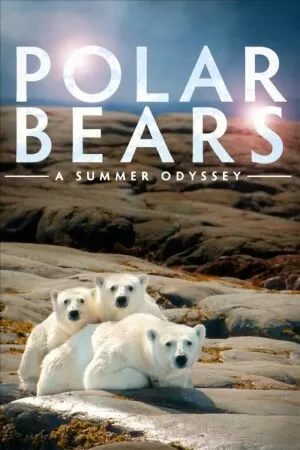 Gấu Bắc Cực - Polar Bears: A Summer Odyssey (2012)