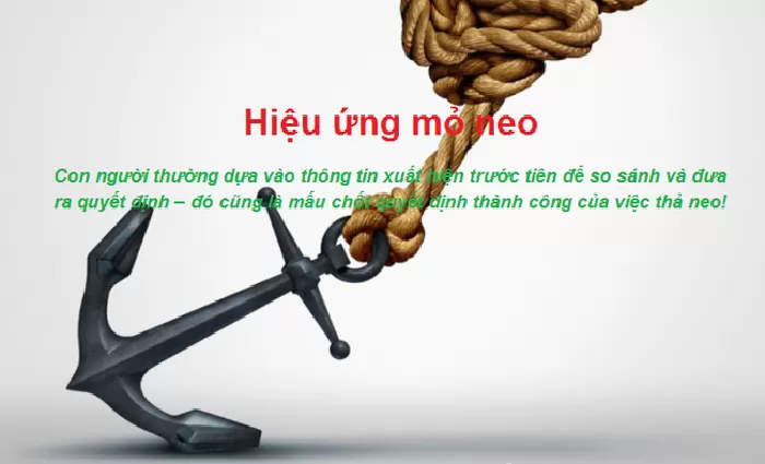 Hiệu ứng neo
