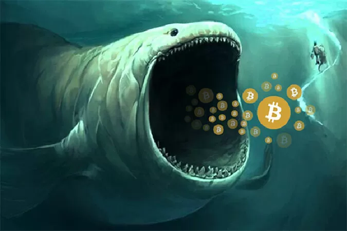 Thị trường tiền ảo - Cá mập