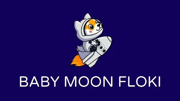 Flokimoon Now (FLOKIMOON)