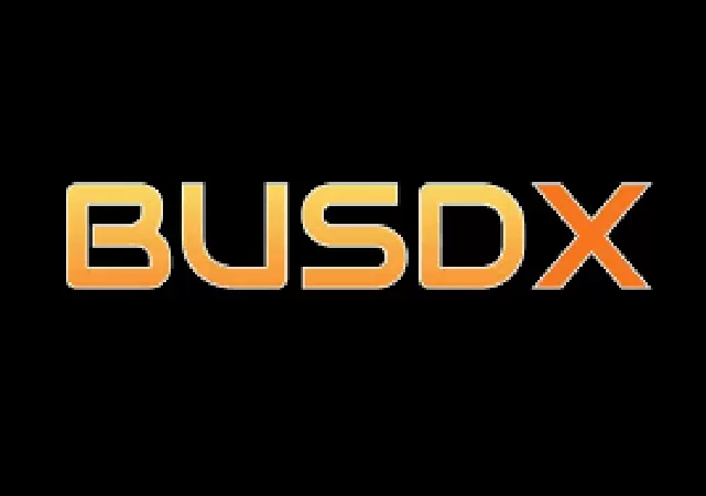 BUSDX (BUSDX)