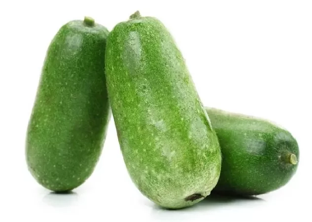 Bí đao