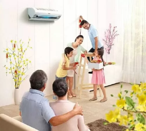 Dọn dẹp và tân trang nhà cửa