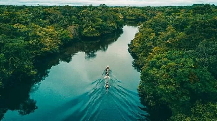 Sông Amazon