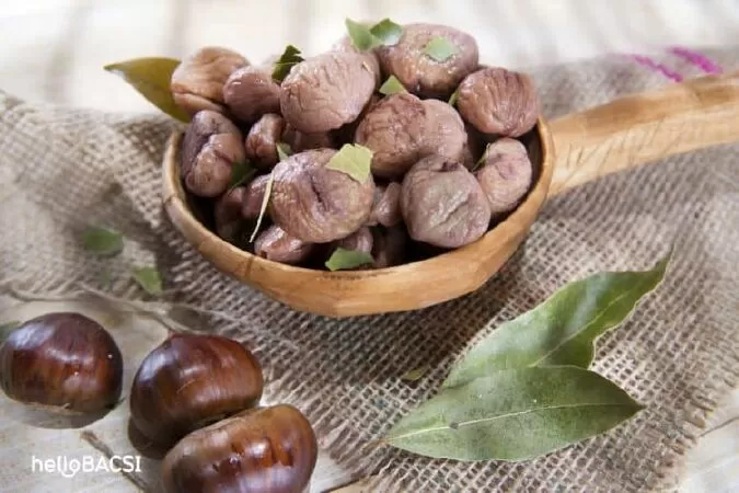 Hạt dẻ