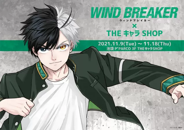 Wind Breaker