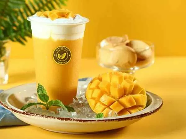 Cafe bệt Gemini