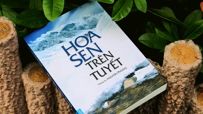 Hoa Sen Trên Tuyết