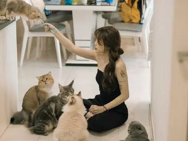 Meow coffee