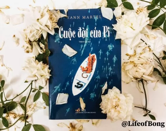 Cuộc đời của Pi