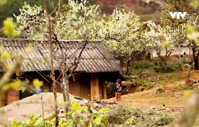 Bài phân tích 6