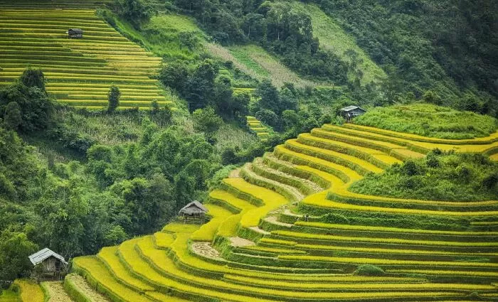 Bài phân tích 1
