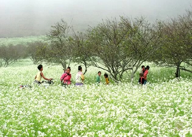 Bài phân tích 3