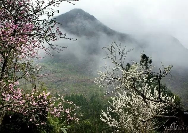 Bài phân tích 5