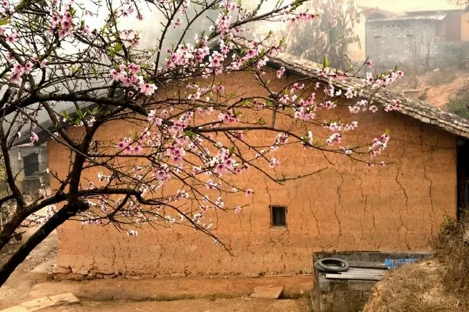 Bài phân tích 7