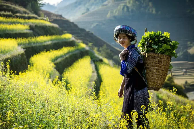 Bài phân tích 8