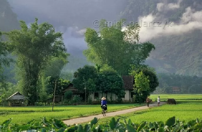 Bài tóm tắt số 3