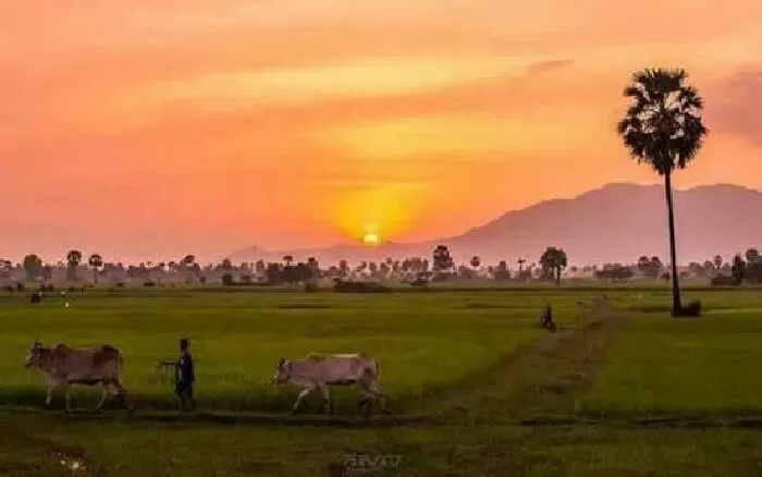 Bài tóm tắt số 5