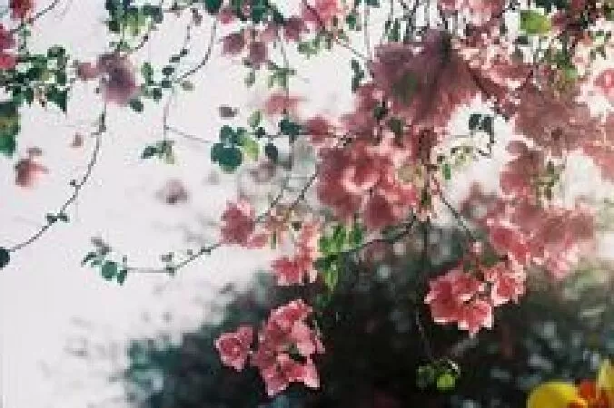 Bài cảm nhận số 4