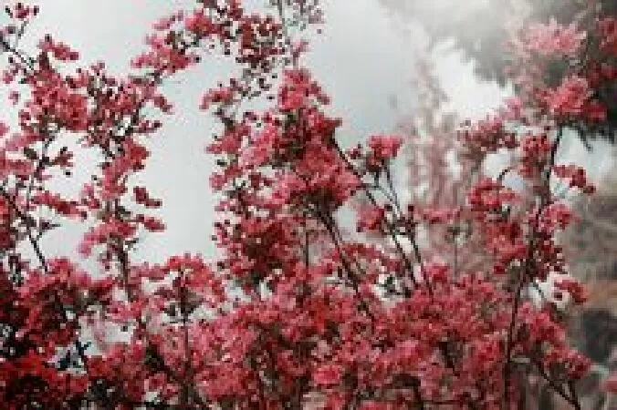 Bài cảm nhận số 7
