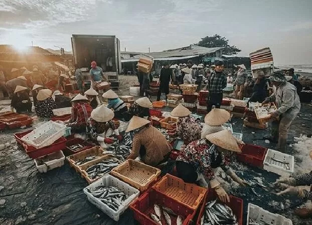 Bài tóm tắt số 2
