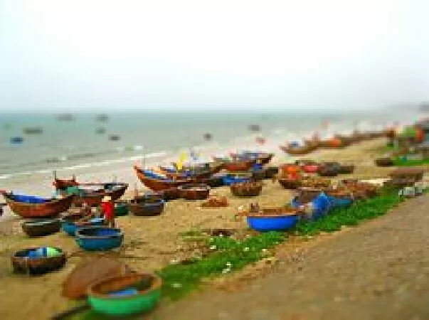 Bài tóm tắt số 5