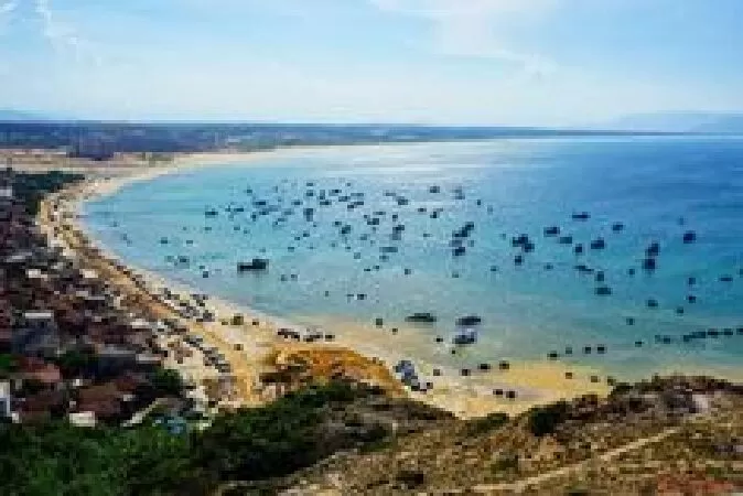 Bài tóm tắt số 8