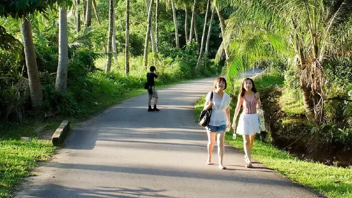 Đi bộ trên đường mòn