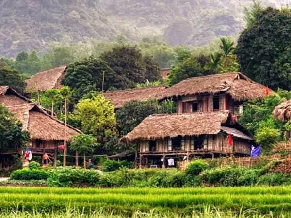 Mai Hịch