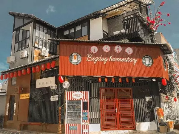 Bigdog homestay