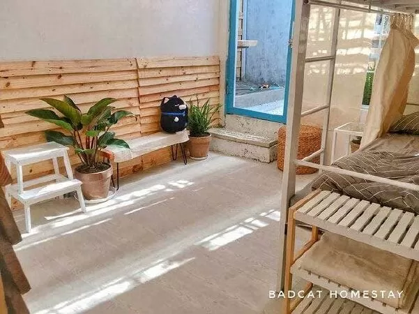Bad Cat homestay