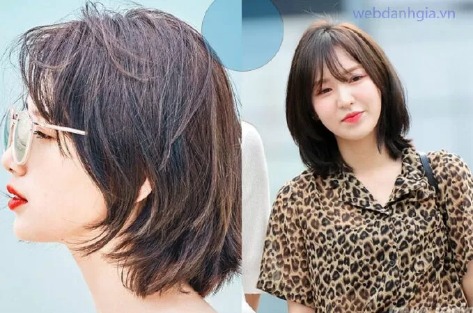 Mullet layer nhuộm