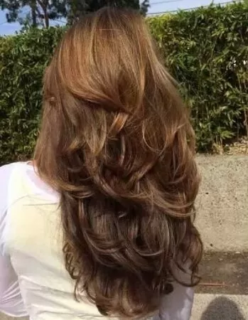 Mullet layer đuôi bầu