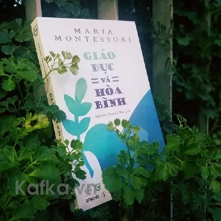 Giáo dục và hòa bình