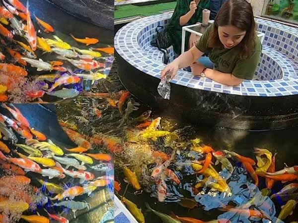 Việt Hoa Viên