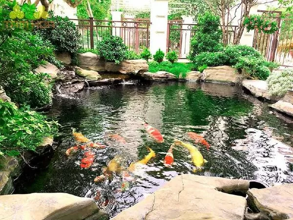 Sân Vườn Xinh