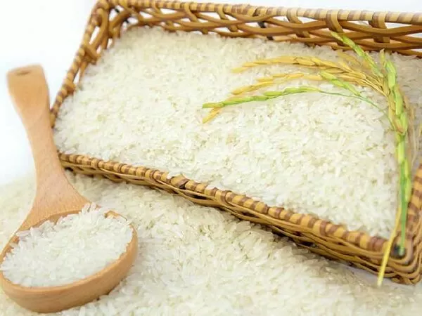 Đại lý gạo Việt Nhân
