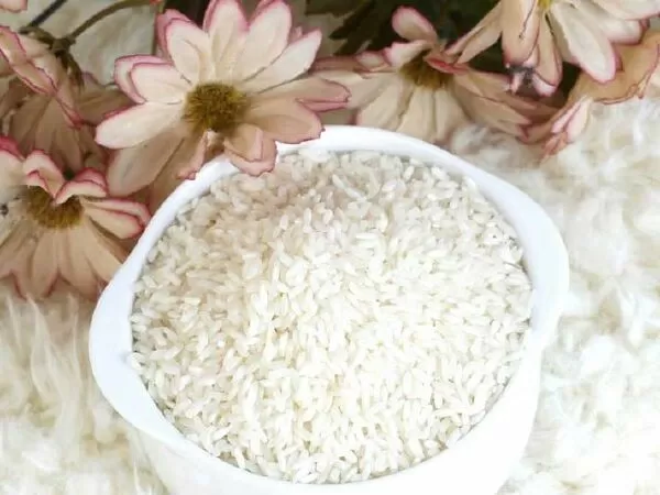 Đại lý gạo Thu Thảo
