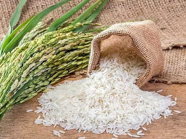 Đại lý gạo Xướng Hương