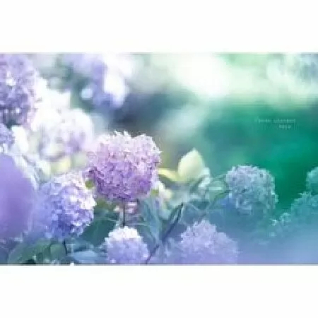 Top 10 dàn ý và bài văn hay phân tích giá trị nhân đạo trong truyện ngắn Vợ nhặt