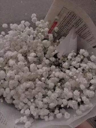 Bài phân tích số 4