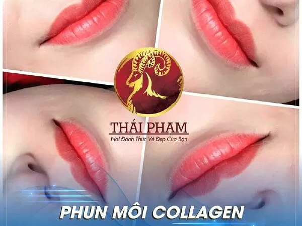 Thẩm Mỹ Thái Phạm