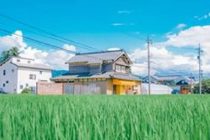 Dàn ý phân tích chi tiết số 2