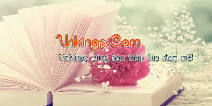 Vnkings.com