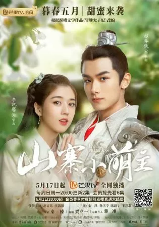Sơn Trại Tiểu Manh Chủ - Fake Princess