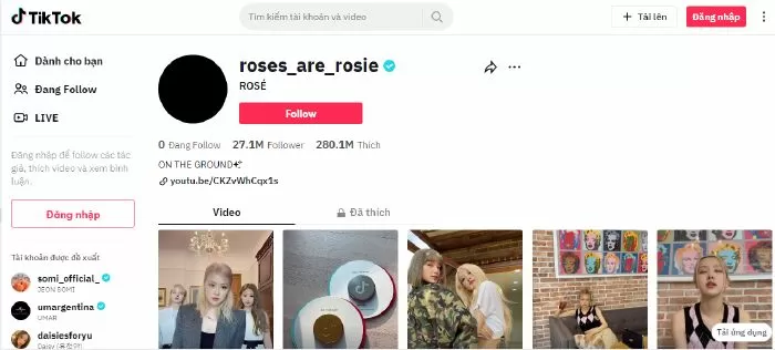 Rosé - @roses_are_rosie