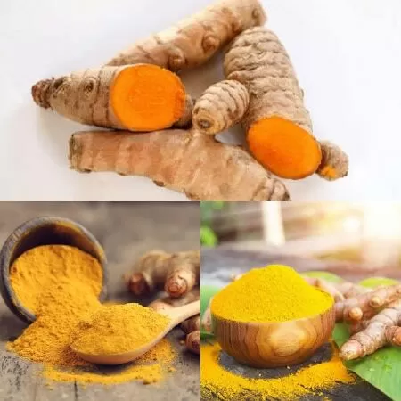 Nghệ